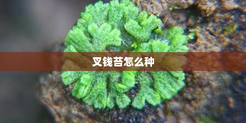 上饶天气还会热到几月份