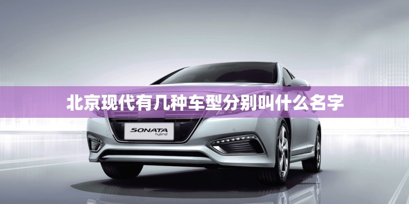 上海音乐学院出来过哪些明星？
