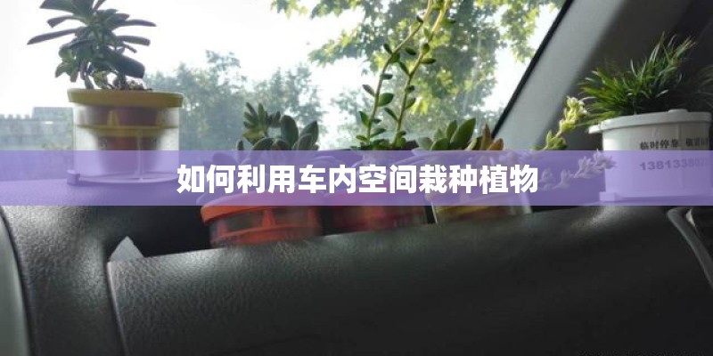 上海音乐学院出来过哪些明星？