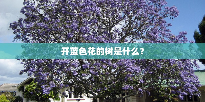 两用洗衣机和洗脱一体机哪个好？