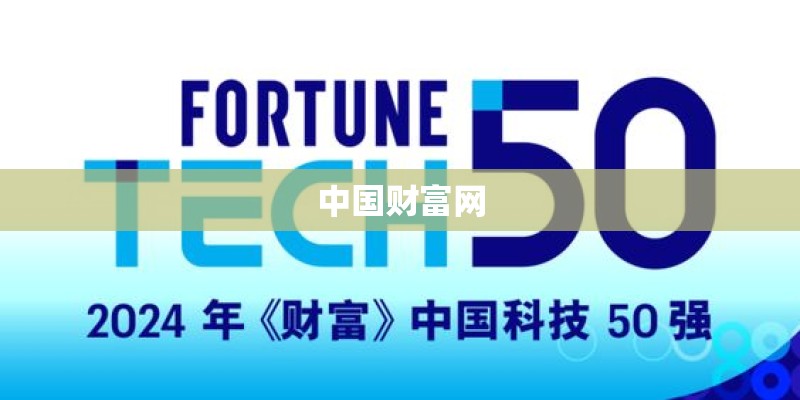 中国财富网