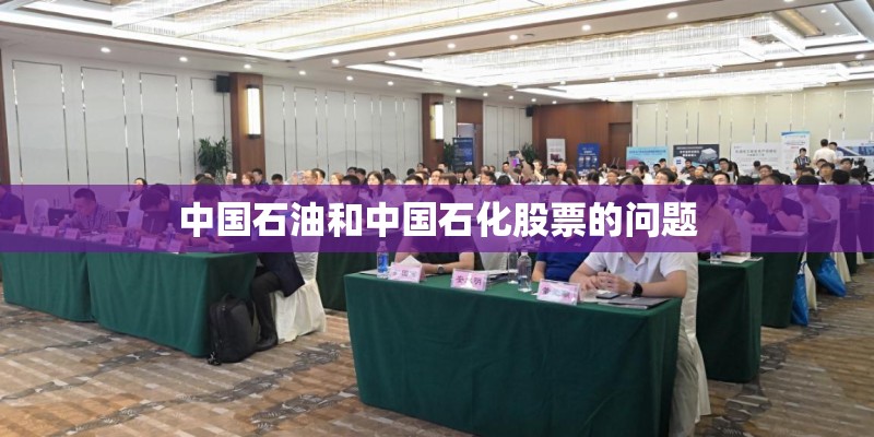 中国石油和中国石化股票的问题