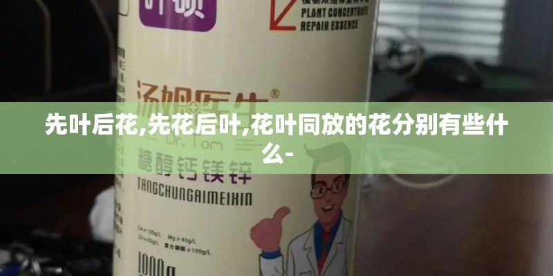先叶后花,先花后叶,花叶同放的花分别有些什么-