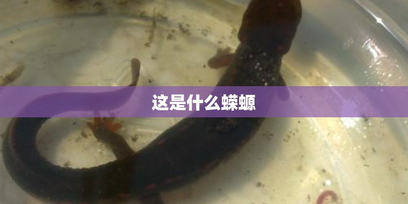 许昌信息港的简介