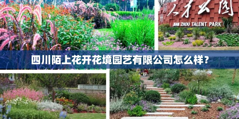 河南486分能上什么大学