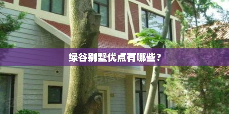 绿谷别墅优点有哪些？