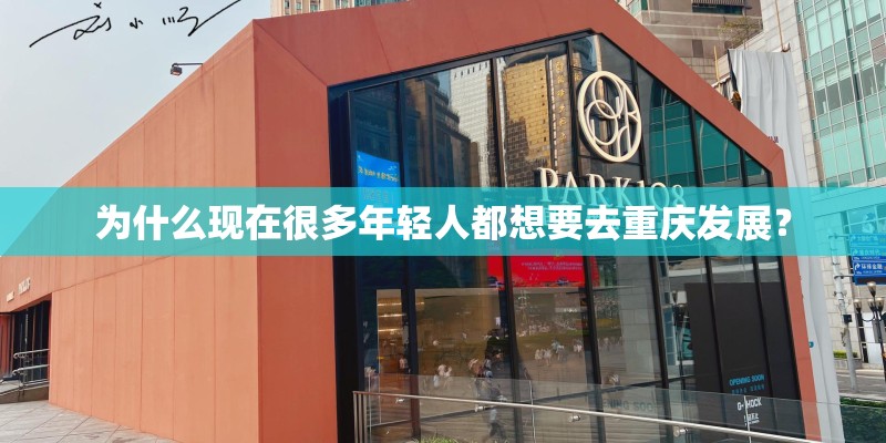 刚买回来的玫瑰花苗怎么栽种