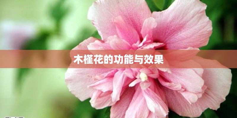 山西悬空寺天气预报15天