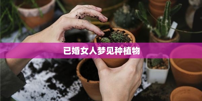 仪器仪表学报相当于sci几区