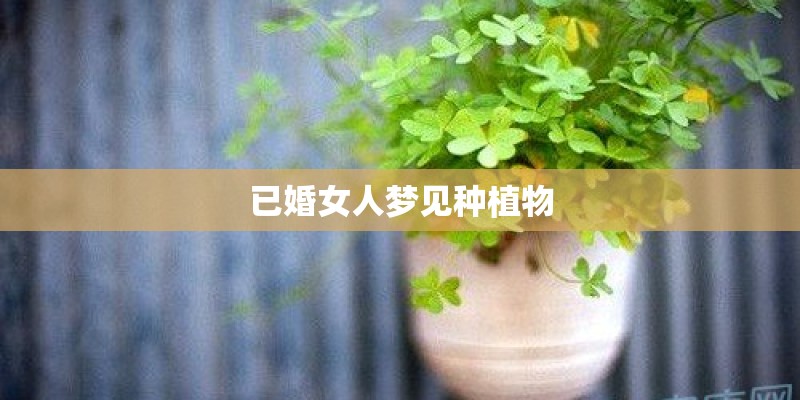 已婚女人梦见种植物