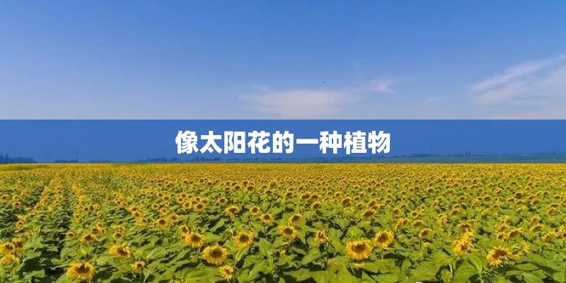 顺发吉祥半岛怎么样？