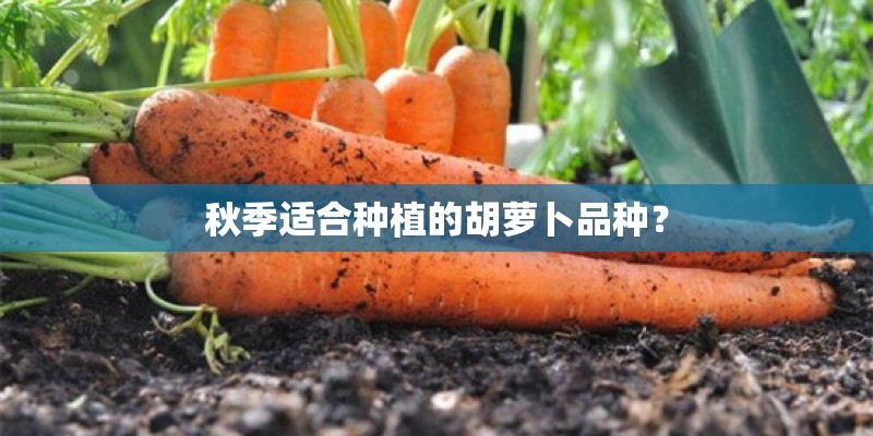 威兰达对比皓影 20万左右选谁更合适？_1