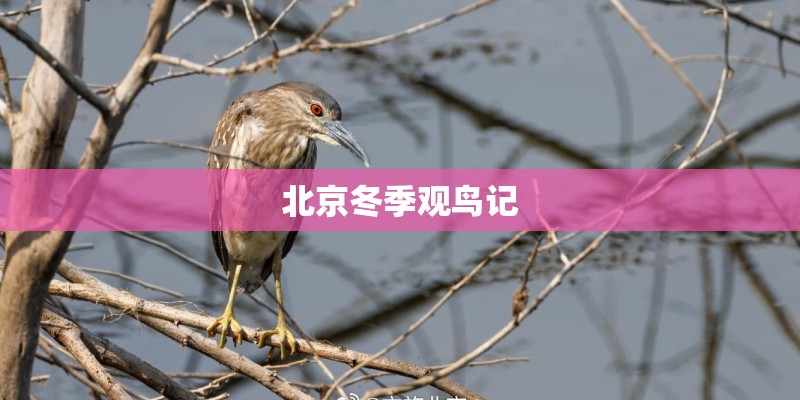 求药学类的国内核心期刊哪个比较好发