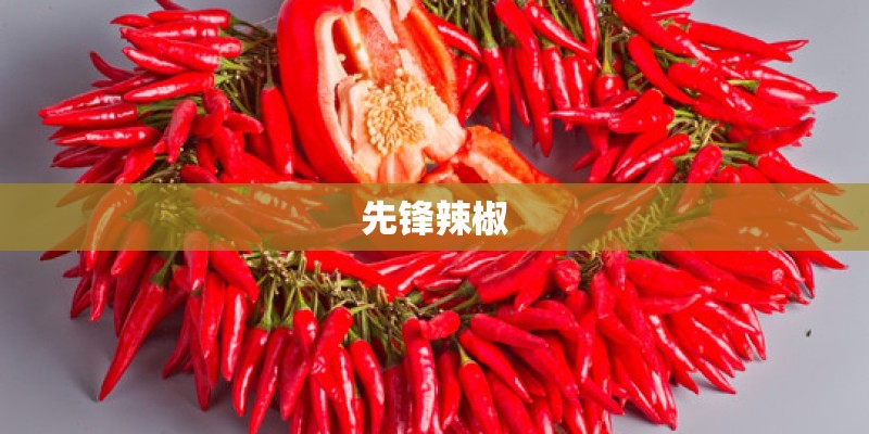 先锋辣椒