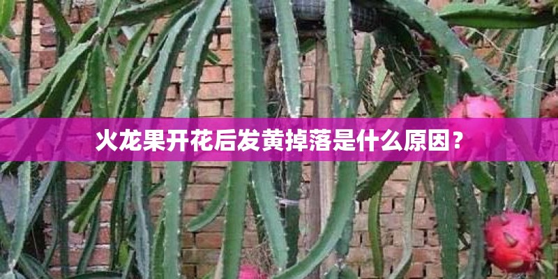 北航唯实大厦