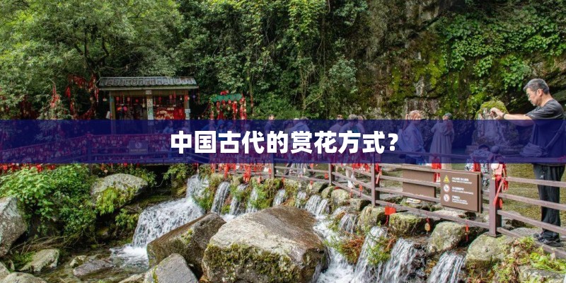 中国古代的赏花方式？
