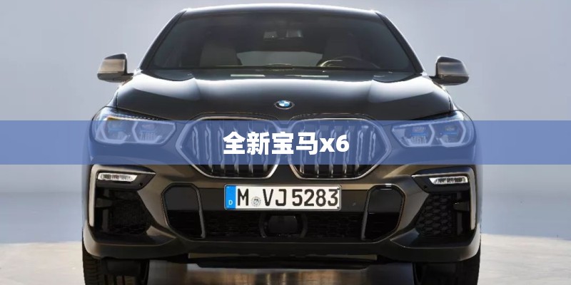 全新宝马x6