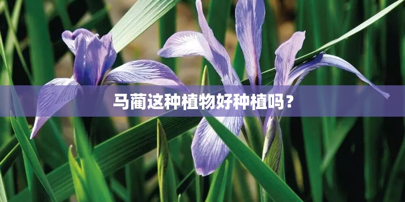 全新宝马x6