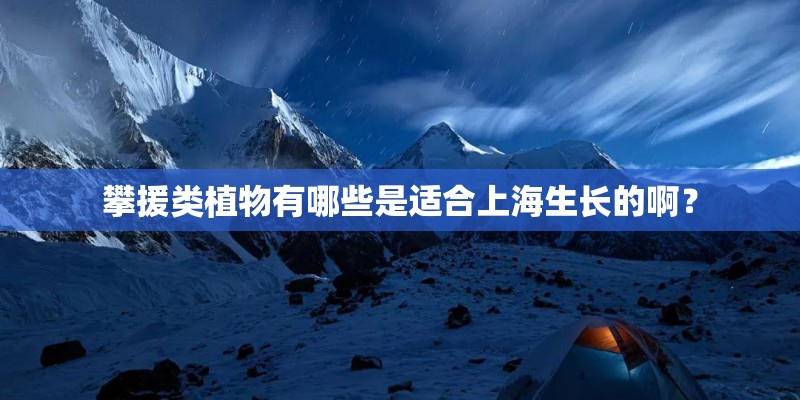 中国古代的赏花方式？