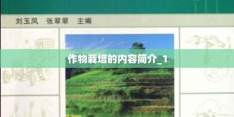 攀援类植物有哪些是适合上海生长的啊？