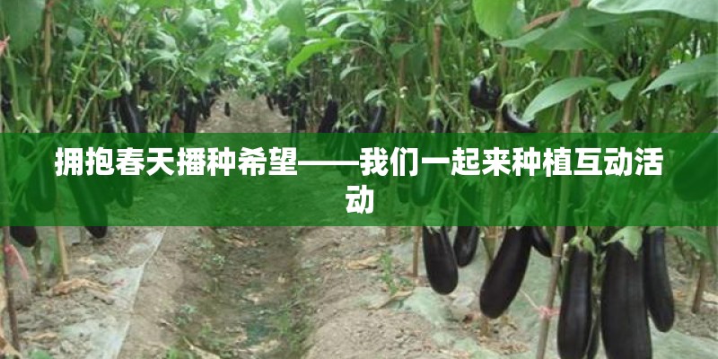 拥抱春天播种希望——我们一起来种植互动活动