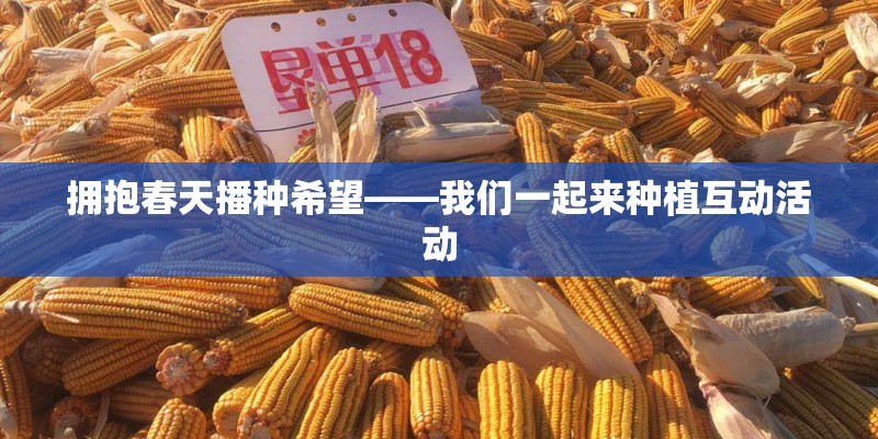 拥抱春天播种希望——我们一起来种植互动活动