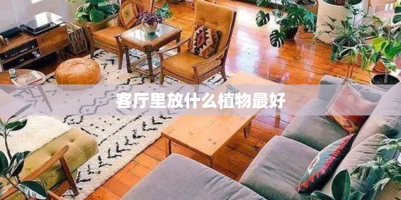 拥抱春天播种希望——我们一起来种植互动活动