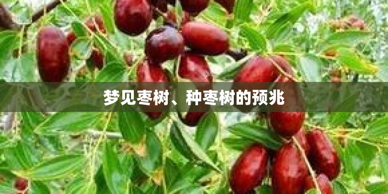 邢台海德花园9号楼能办房产证吗