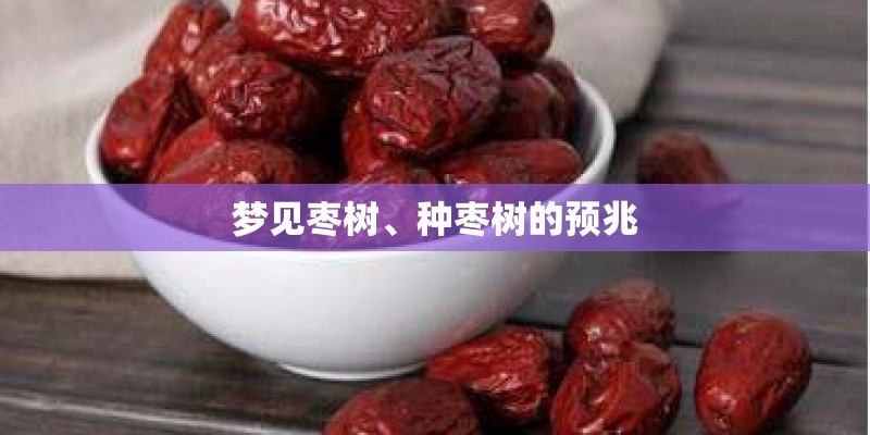 梦见枣树、种枣树的预兆