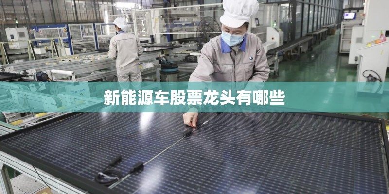 新能源车股票龙头有哪些