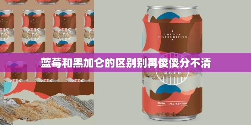 蓝莓和黑加仑的区别别再傻傻分不清
