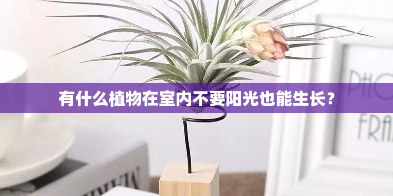 北京现代ix25试驾