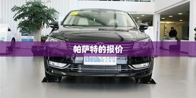 帕萨特的报价