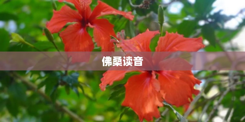 10天内5城加入“抢人大战” “最强地级市”苏州租房即可落户