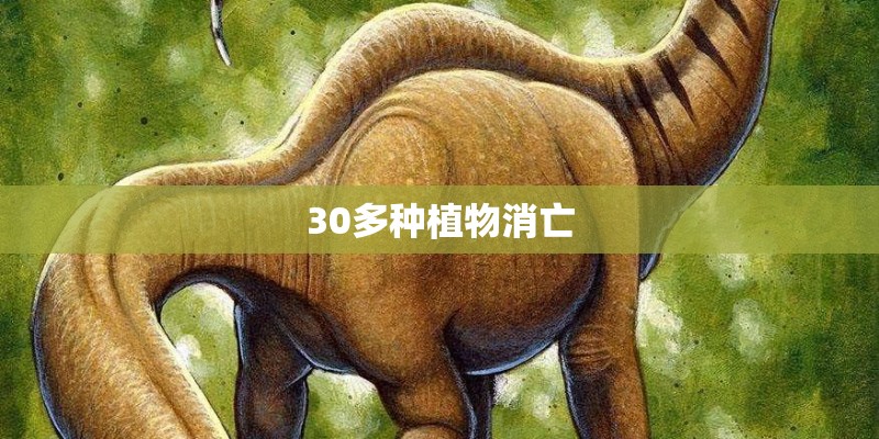 西安市在哪个网能卖房子