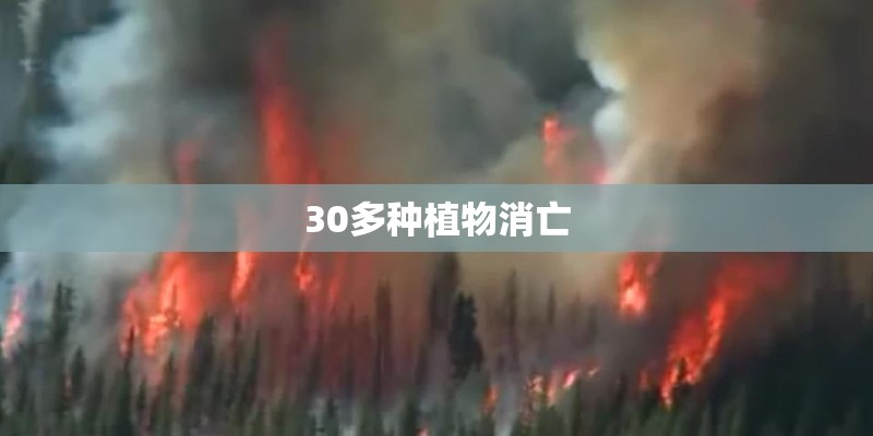 30多种植物消亡