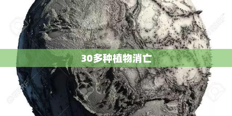 30多种植物消亡