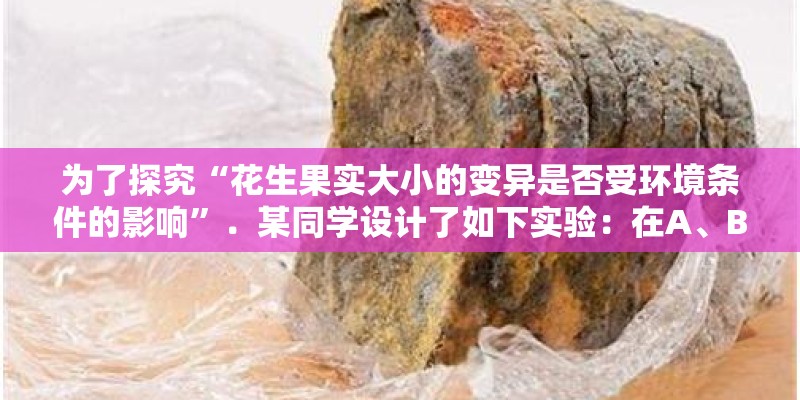 为了探究“花生果实大小的变异是否受环境条件的影响”．某同学设计了如下实验：在A、B两个花盆中分别装入