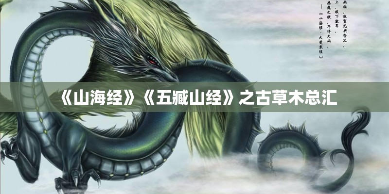 中国现代神经疾病杂志的来稿要求