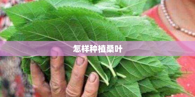 为了探究“花生果实大小的变异是否受环境条件的影响”．某同学设计了如下实验：在A、B两个花盆中分别装入