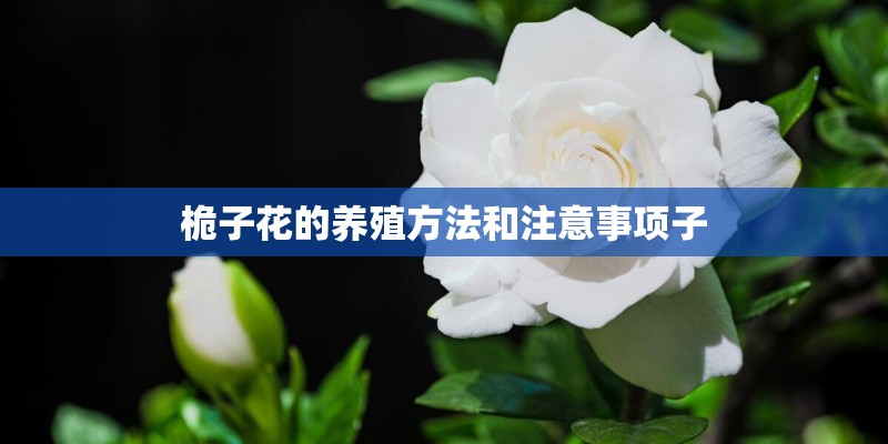 宅基地三级确认算是批文吗