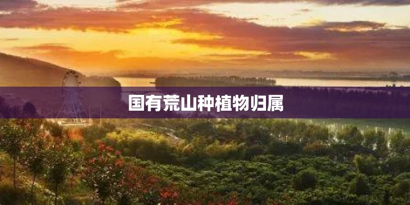 国有荒山种植物归属