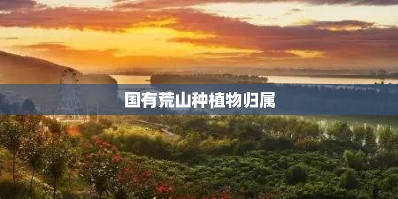 怎样种植桑叶