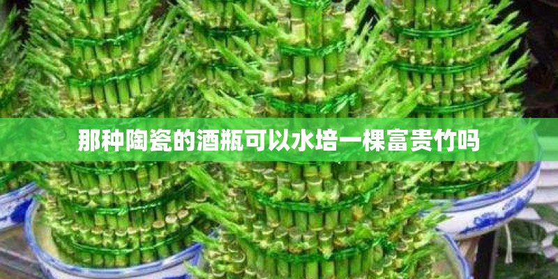 马自达6阿特兹宣布停产 经典轿跑彻底落幕！