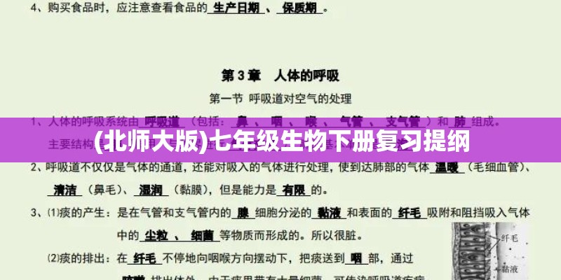 (北师大版)七年级生物下册复习提纲
