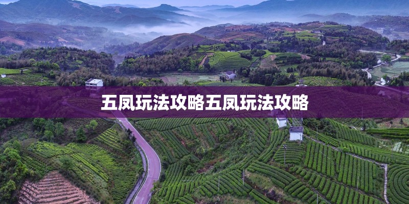 breaking news什么意思