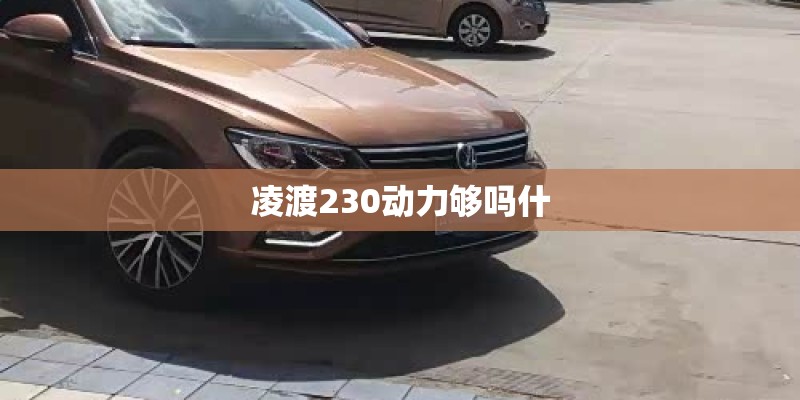 凌渡230动力够吗什 凌渡230动力够吗什