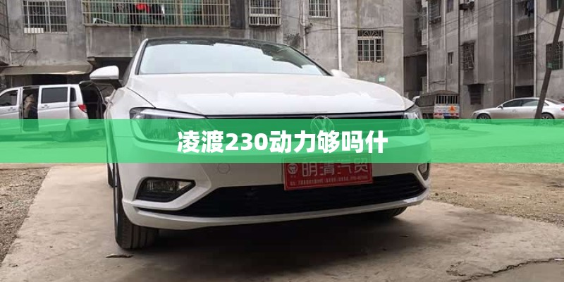 凌渡230动力够吗什 凌渡230动力够吗什