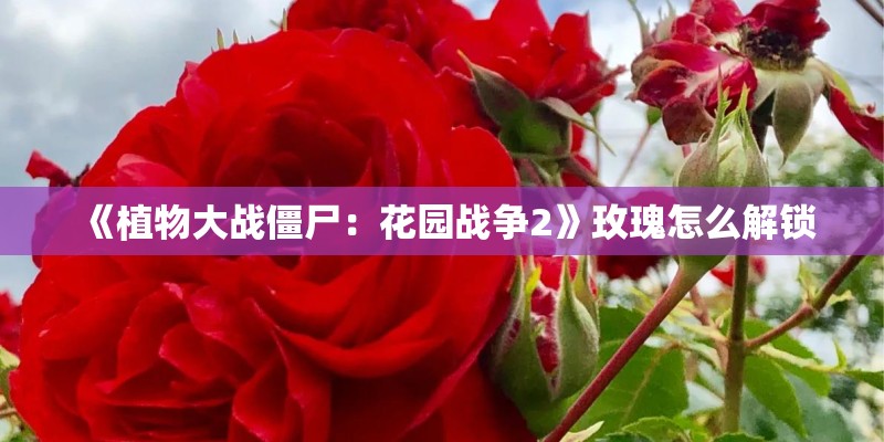 《植物大战僵尸：花园战争2》玫瑰怎么解锁