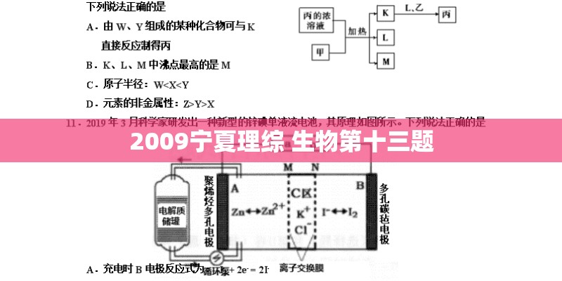 2009宁夏理综 生物第十三题
